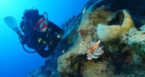 Ancient ceramic amphorae and stone anchors from a 4,700-year-old shipwreck on the Mediterranean seabed.